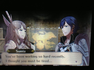 Illustration for article titled This Is What Romance Looks Like In Fire Emblem: Awakening